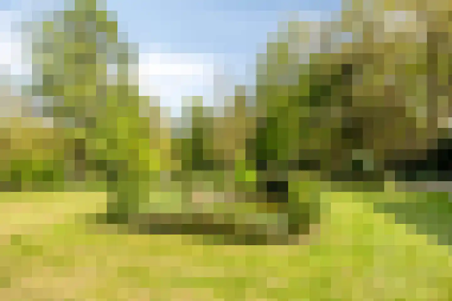 Bussereind 6 Steensel thumbnail 44