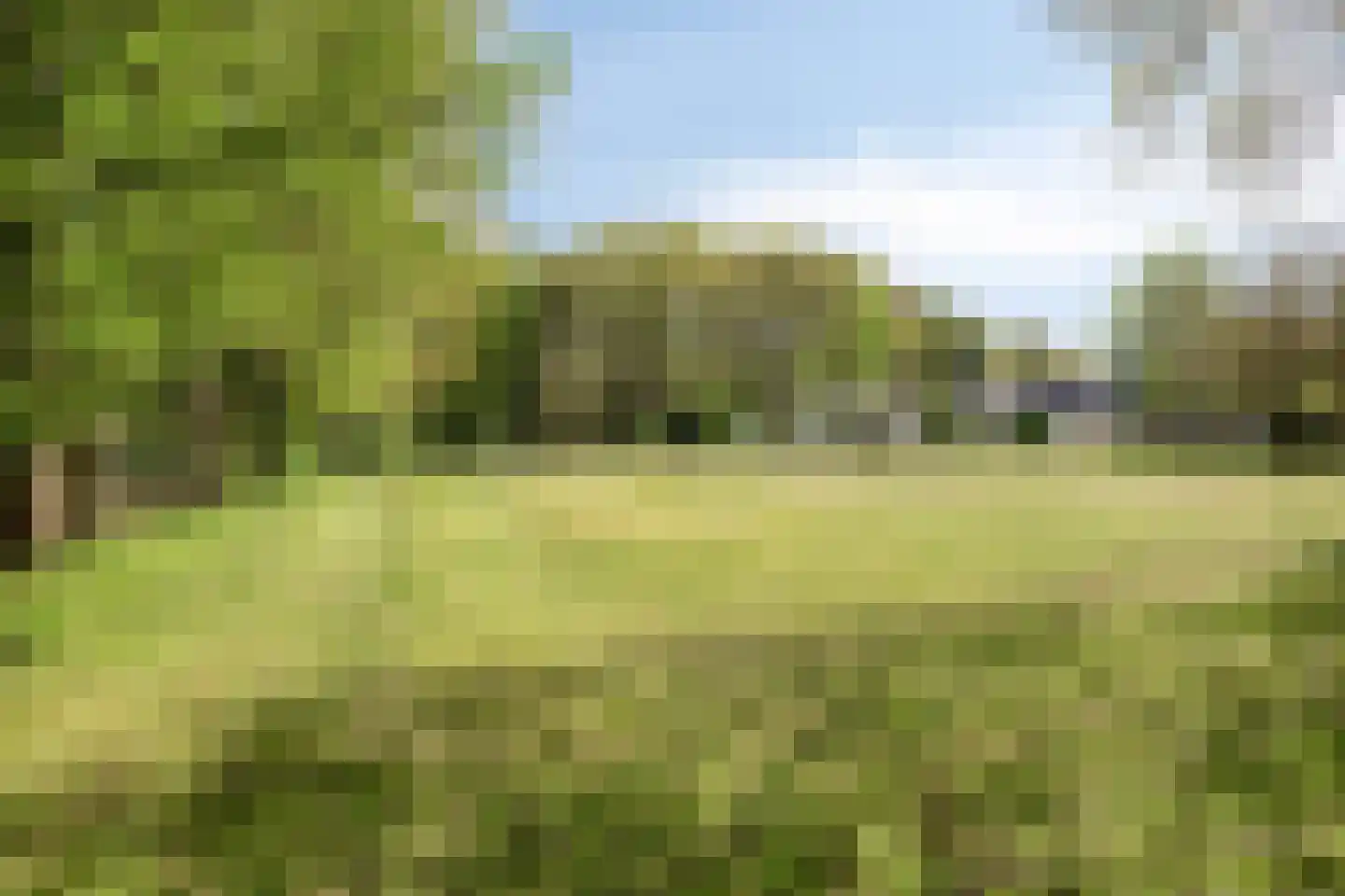 Bussereind 6 Steensel thumbnail 45