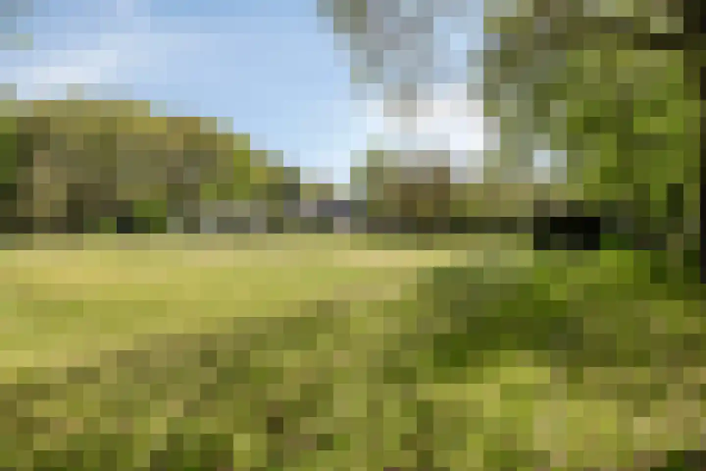 Bussereind 6 Steensel thumbnail 46