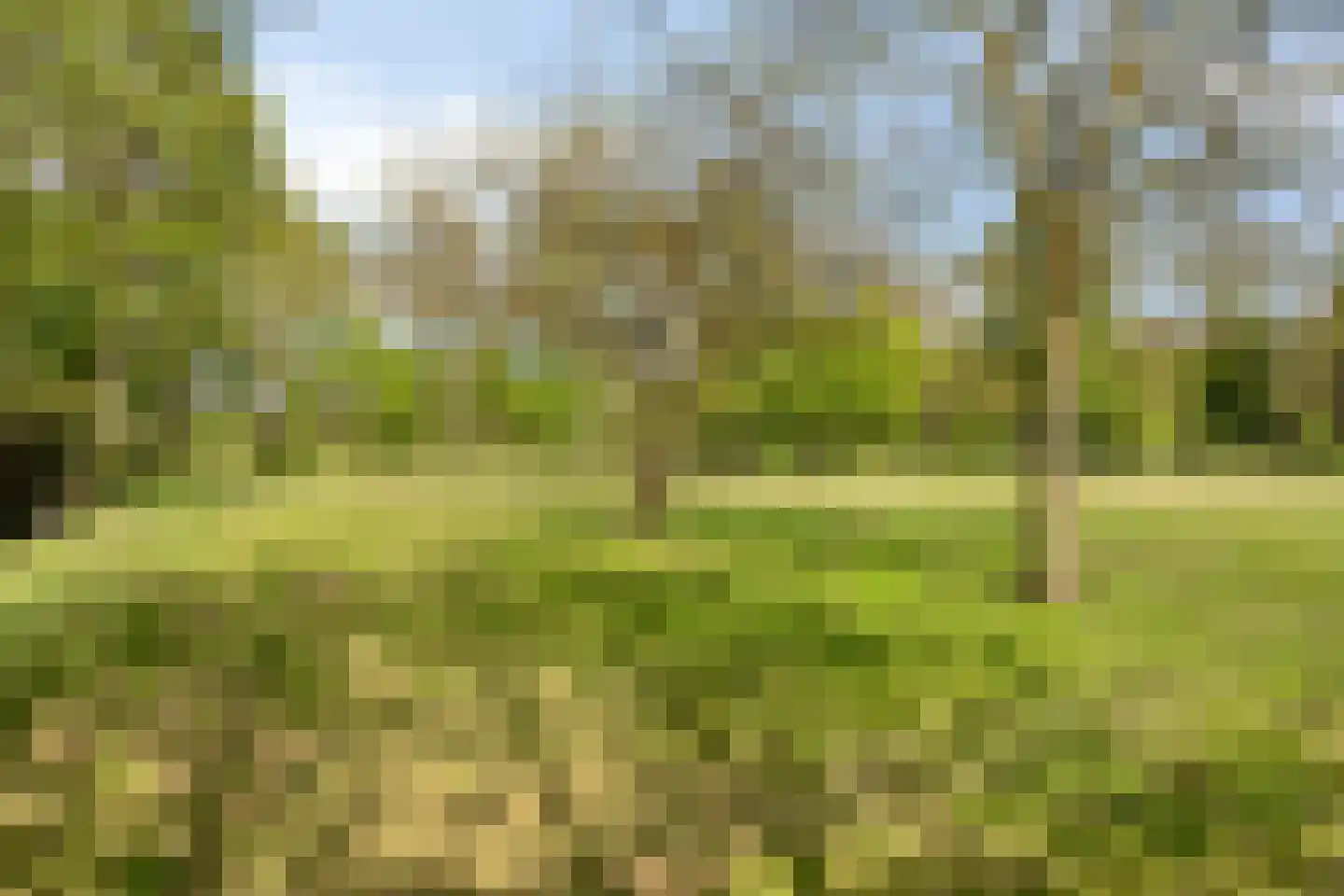 Bussereind 6 Steensel thumbnail 47