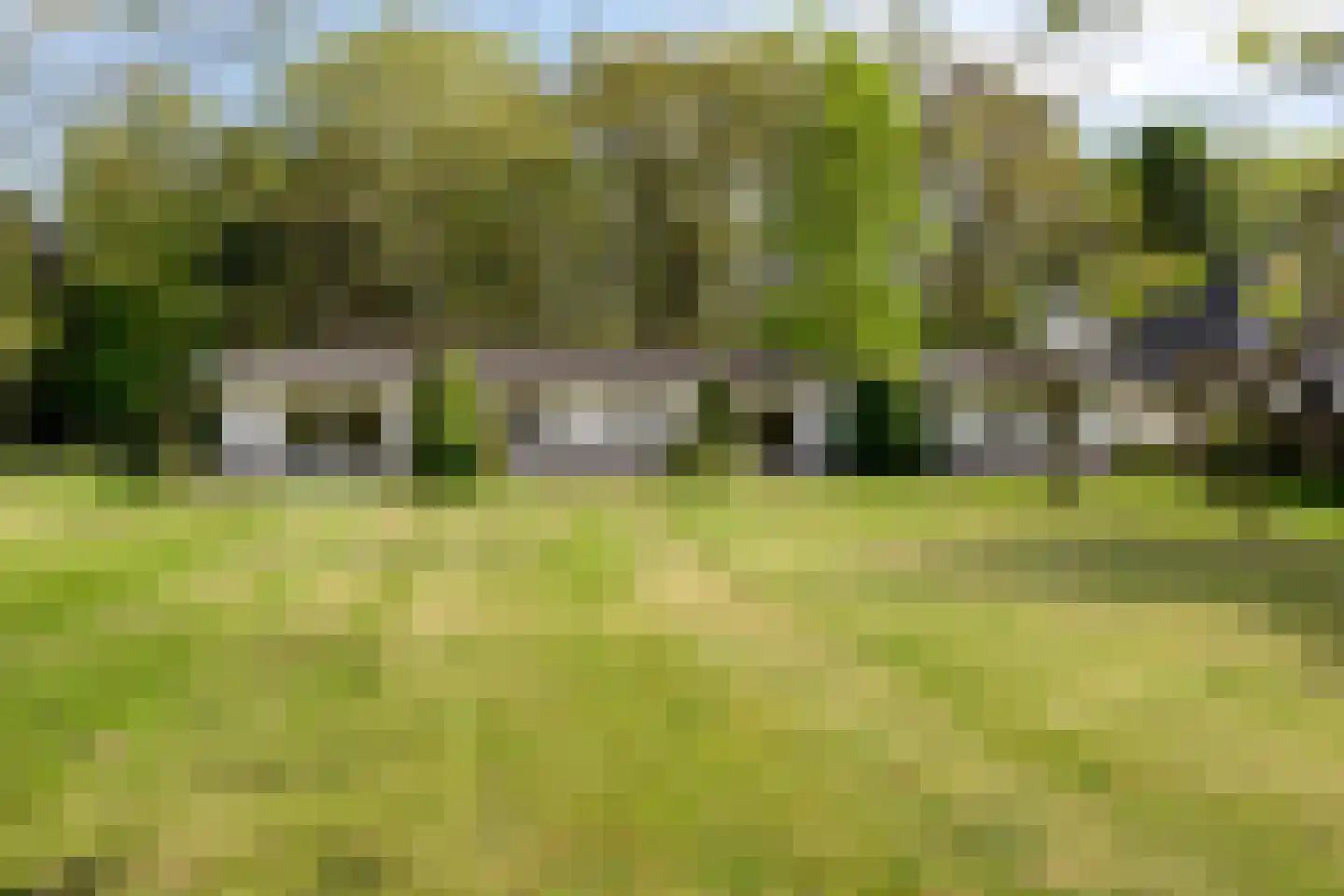 Bussereind 6 Steensel thumbnail 49