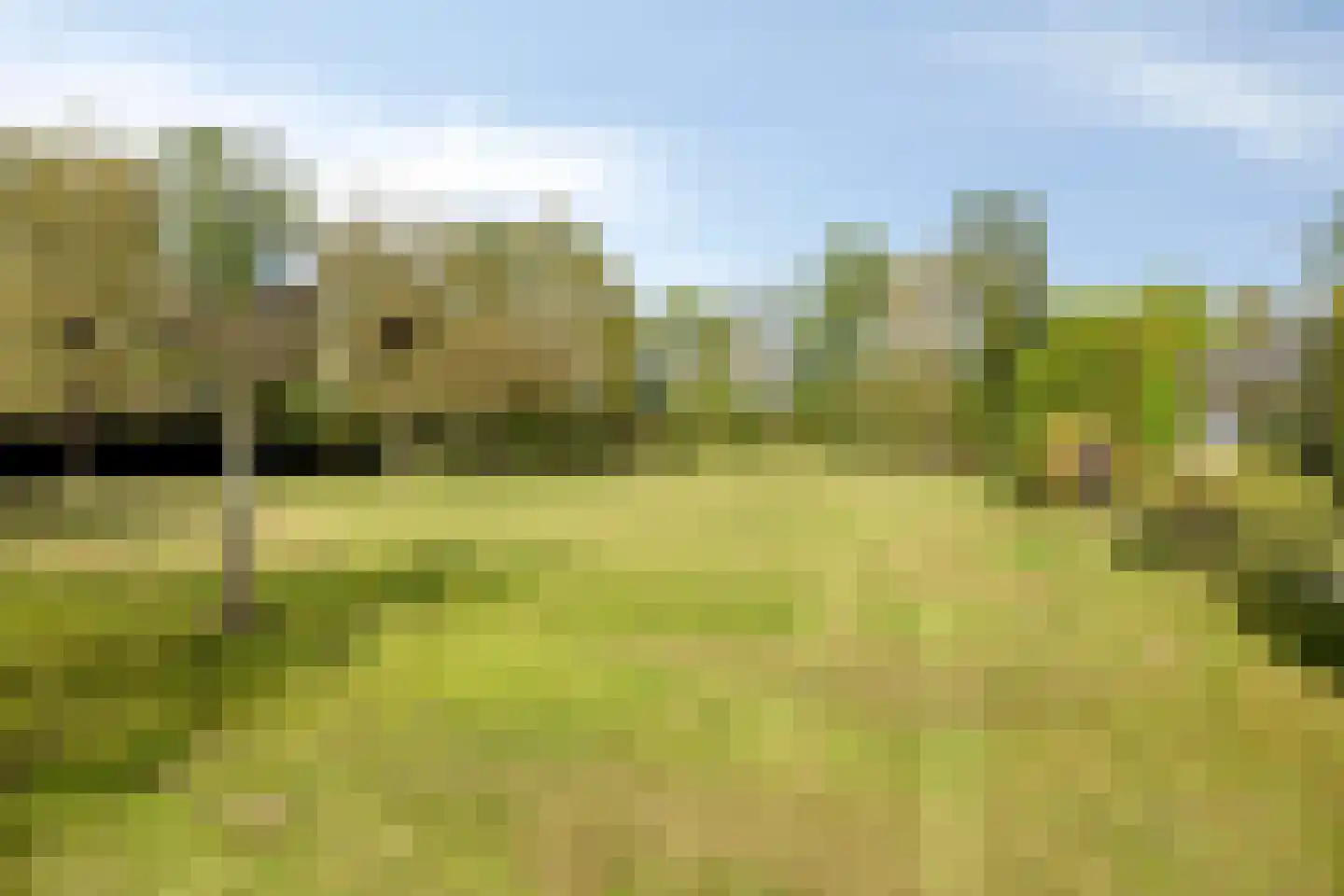 Bussereind 6 Steensel thumbnail 50