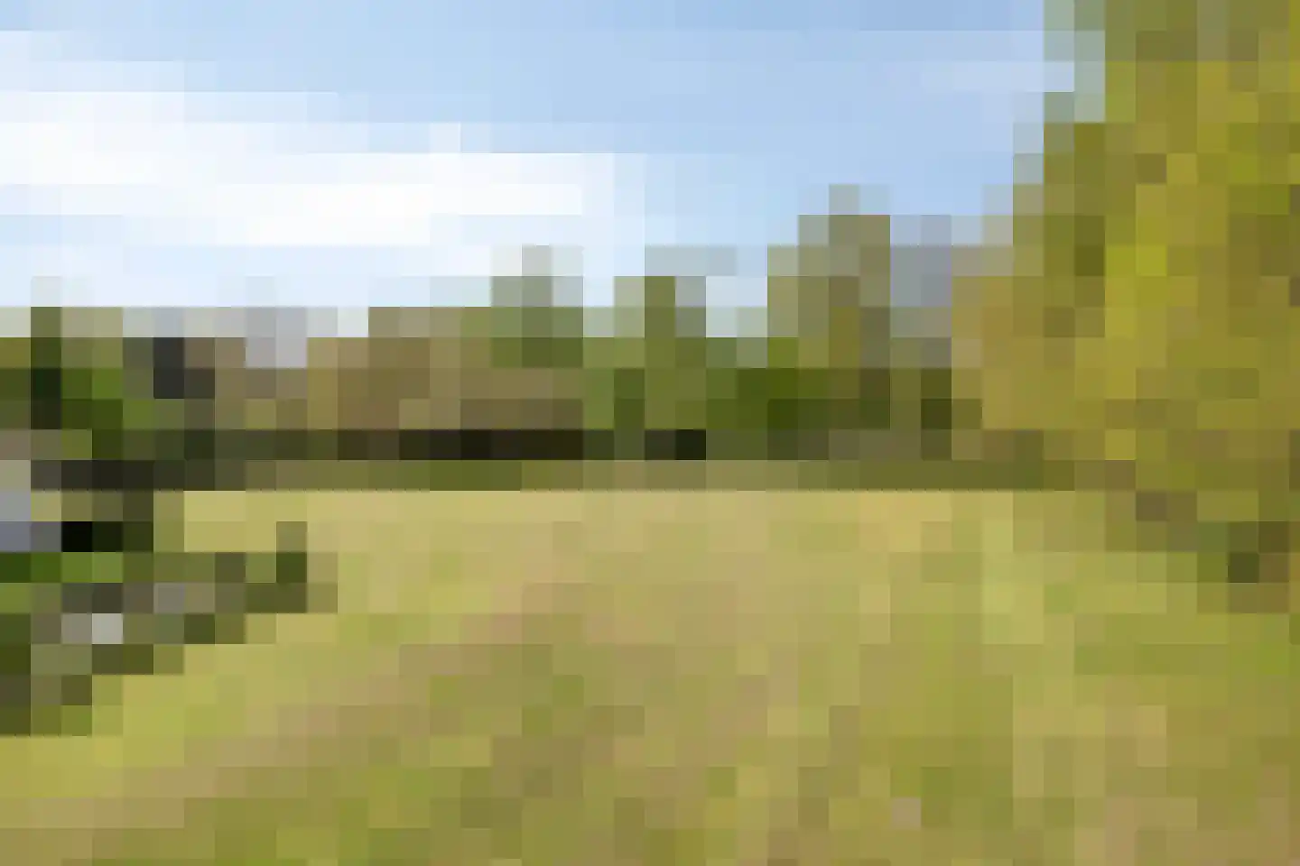 Bussereind 6 Steensel thumbnail 53