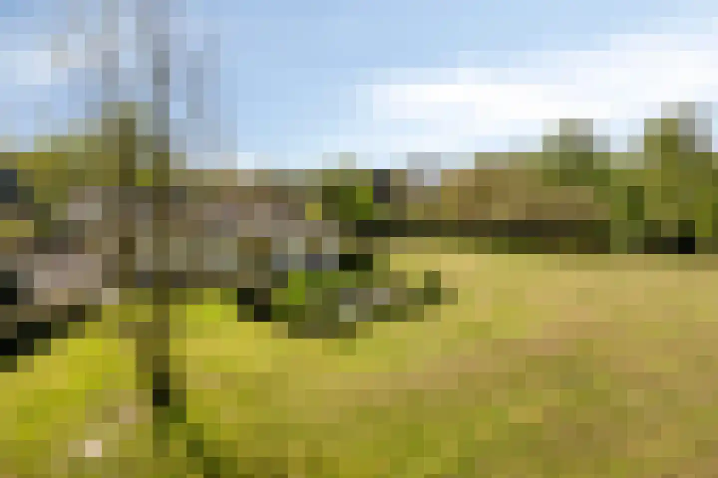 Bussereind 6 Steensel thumbnail 54