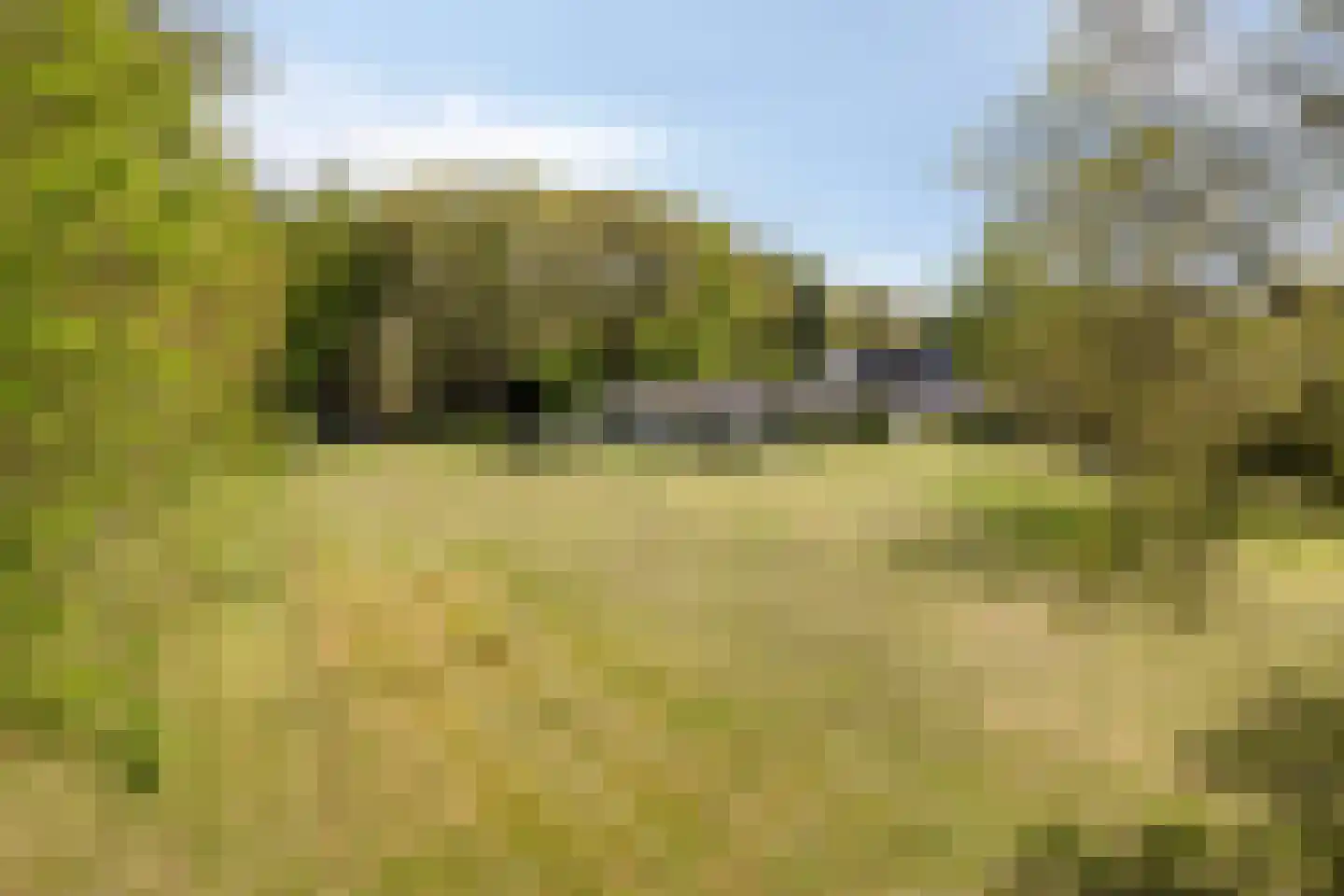 Bussereind 6 Steensel thumbnail 55