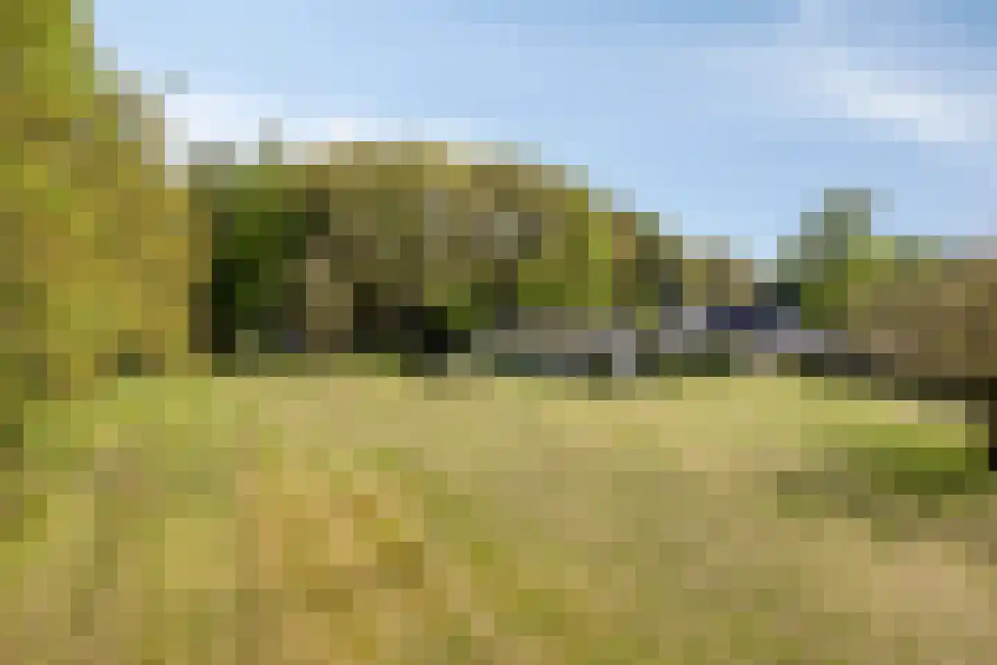 Bussereind 6 Steensel thumbnail 56