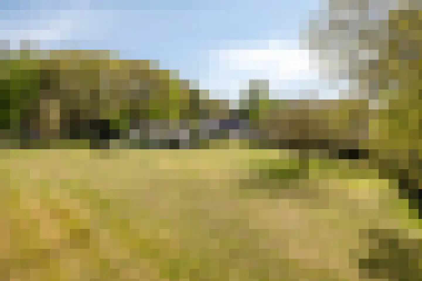 Bussereind 6 Steensel thumbnail 57