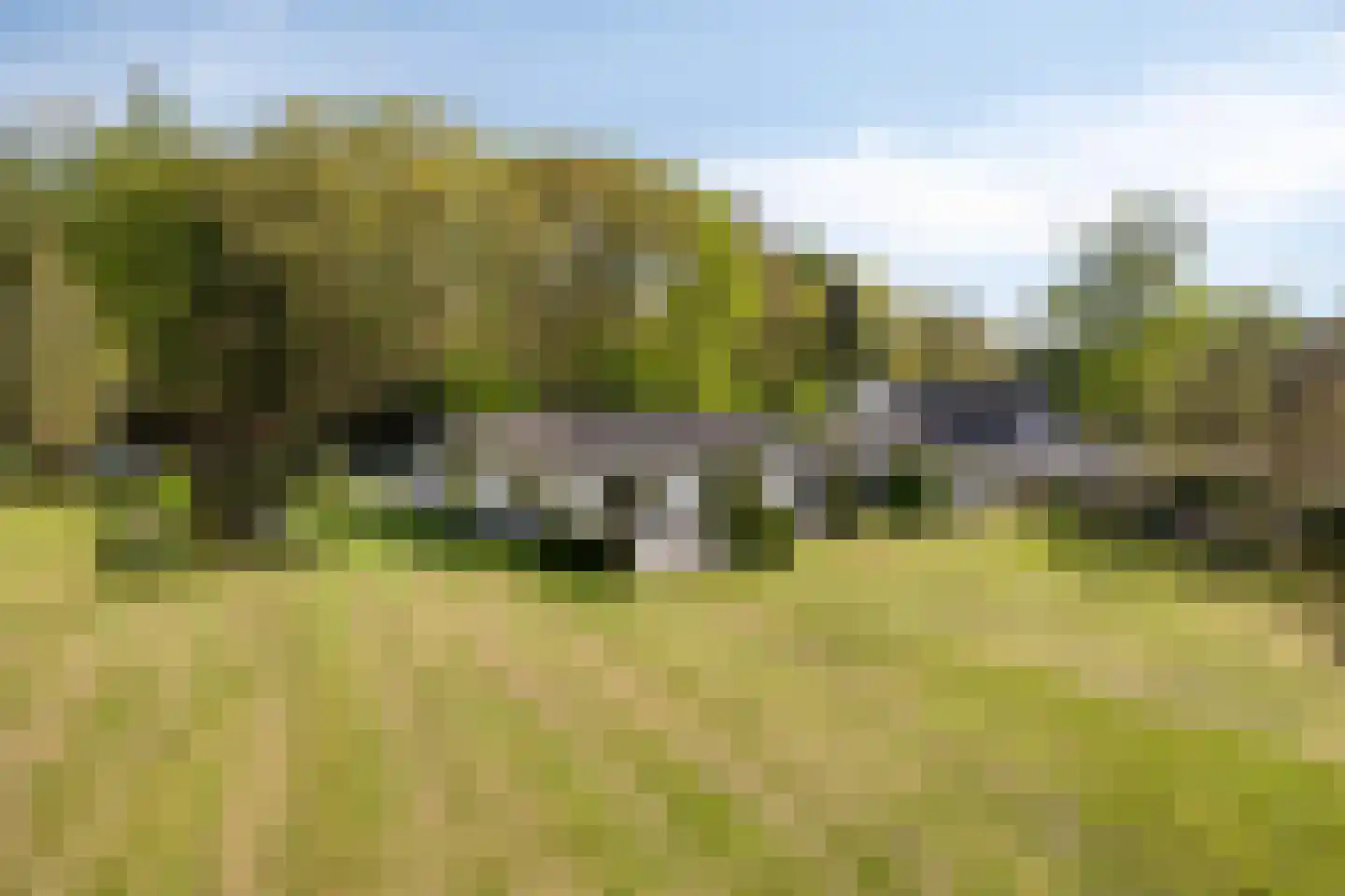 Bussereind 6 Steensel thumbnail 58