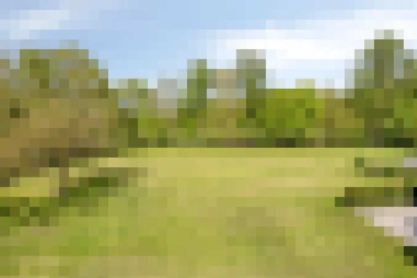 Bussereind 6 Steensel thumbnail 59