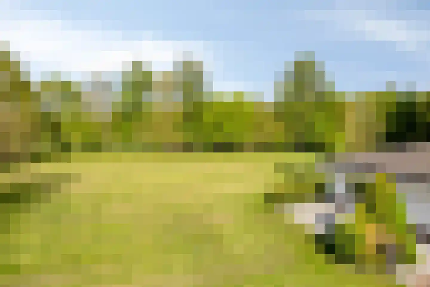Bussereind 6 Steensel thumbnail 60