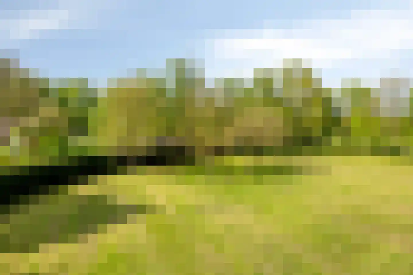Bussereind 6 Steensel thumbnail 61