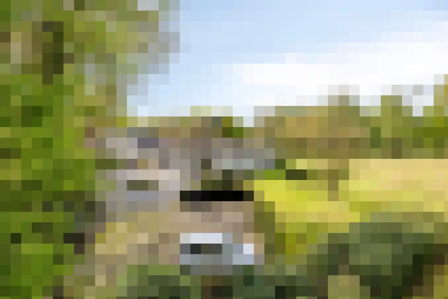Bussereind 6 Steensel thumbnail 63