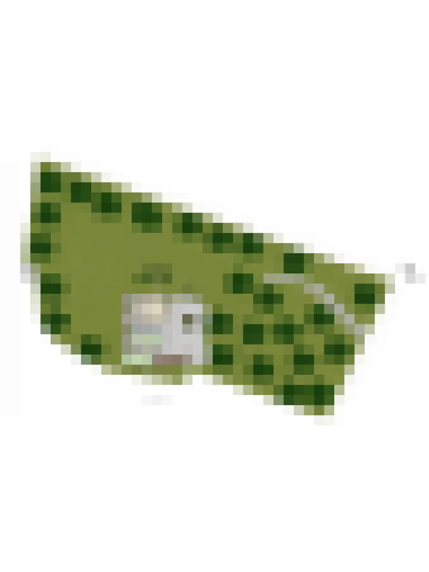 Bussereind 6 Steensel thumbnail 66