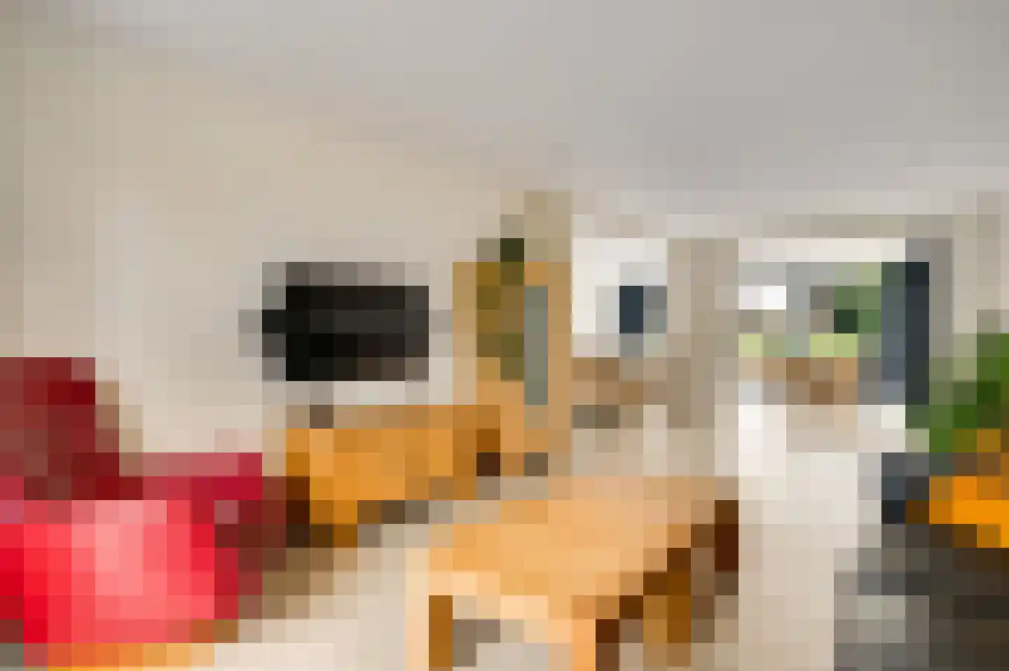 Bussereindseweg 23 Beesel thumbnail 12