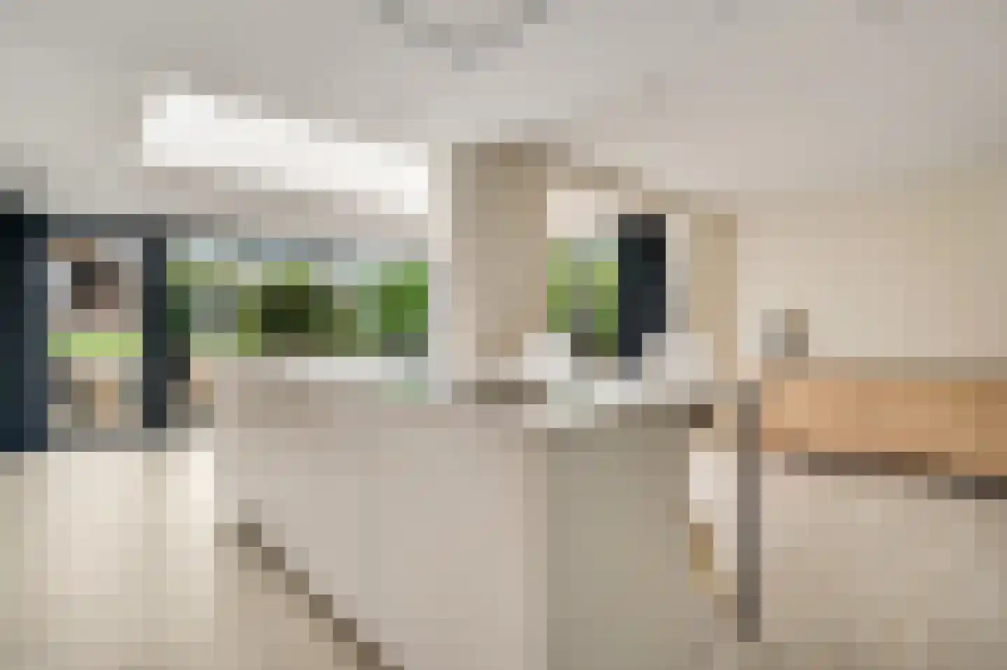 Bussereindseweg 23 Beesel thumbnail 13