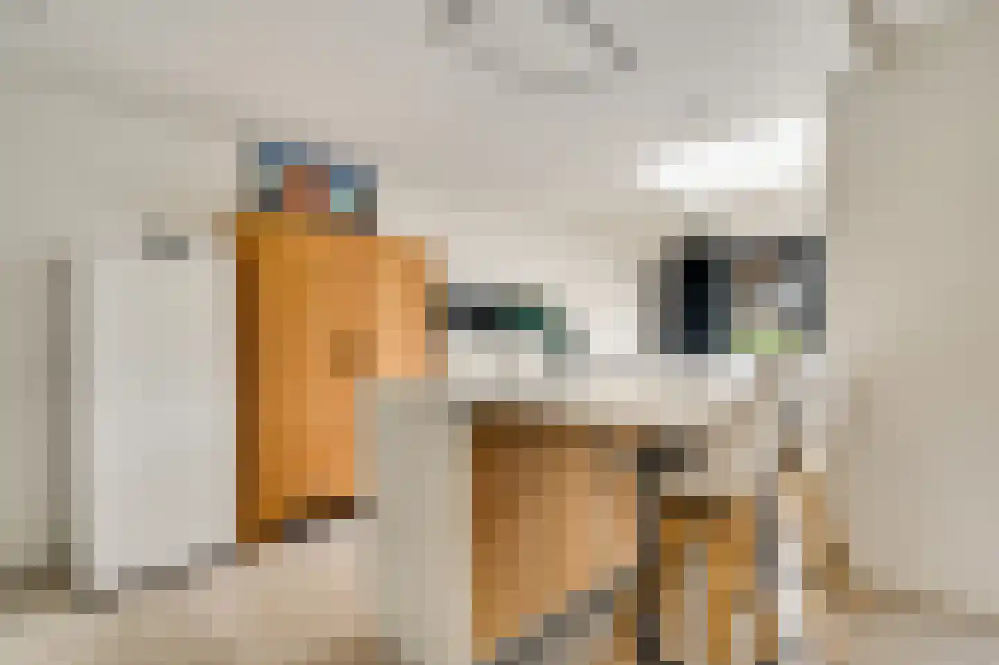 Bussereindseweg 23 Beesel thumbnail 14