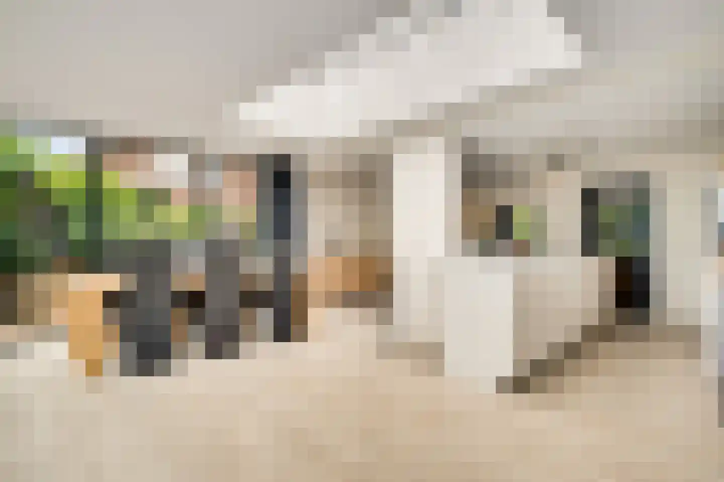 Bussereindseweg 23 Beesel thumbnail 15