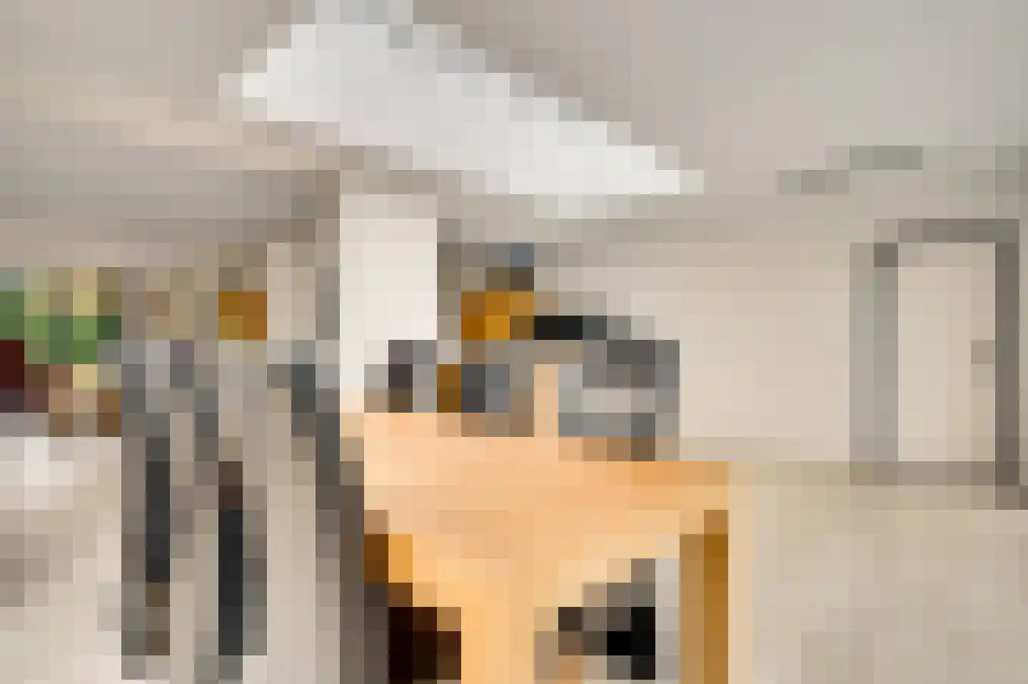 Bussereindseweg 23 Beesel thumbnail 17