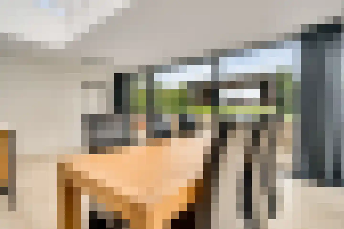 Bussereindseweg 23 Beesel thumbnail 18