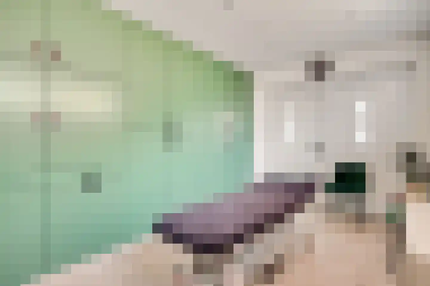 Bussereindseweg 23 Beesel thumbnail 24