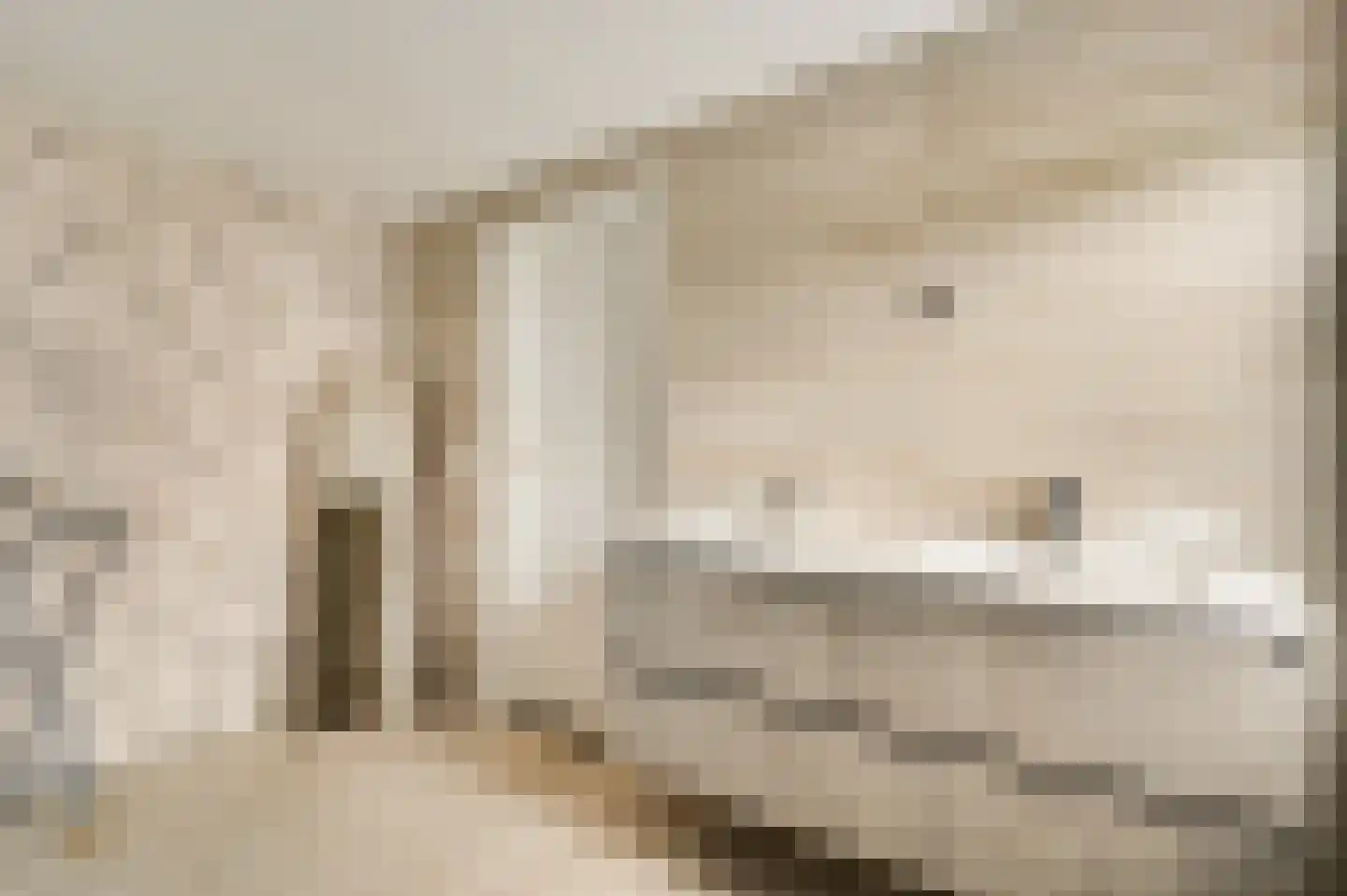 Bussereindseweg 23 Beesel thumbnail 43