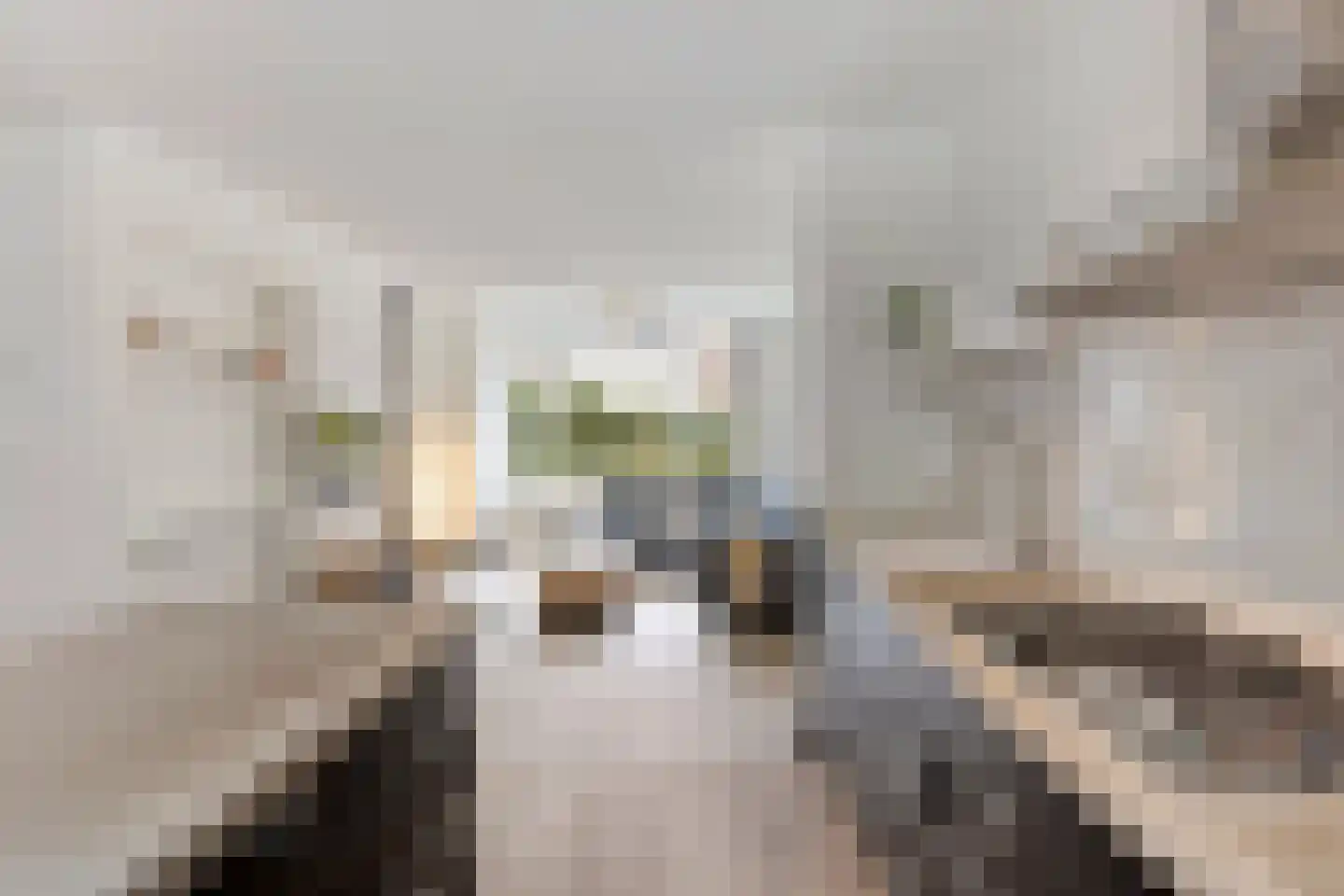 Bussersbeemden 11 Helmond thumbnail 16