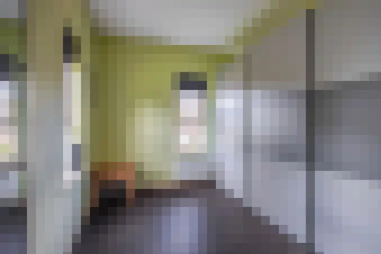 Busserstraat 2 b Westervoort thumbnail 36