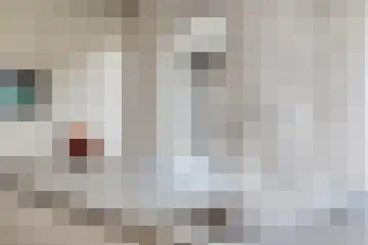 Busserstraat 23 Meijel thumbnail 26