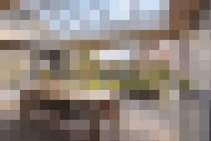 Busserstraat 23 Meijel thumbnail 47