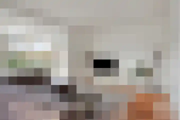 Busserstraat 23 Meijel thumbnail 5