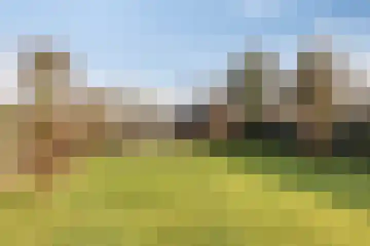 Busserstraat 23 Meijel thumbnail 52