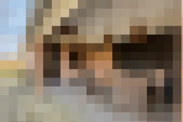 Busserstraat 23 Meijel thumbnail 54