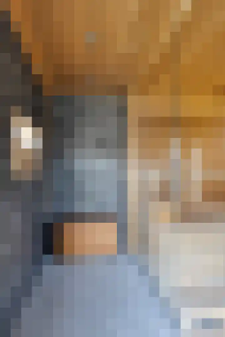 Busserstraat 23 Meijel thumbnail 56