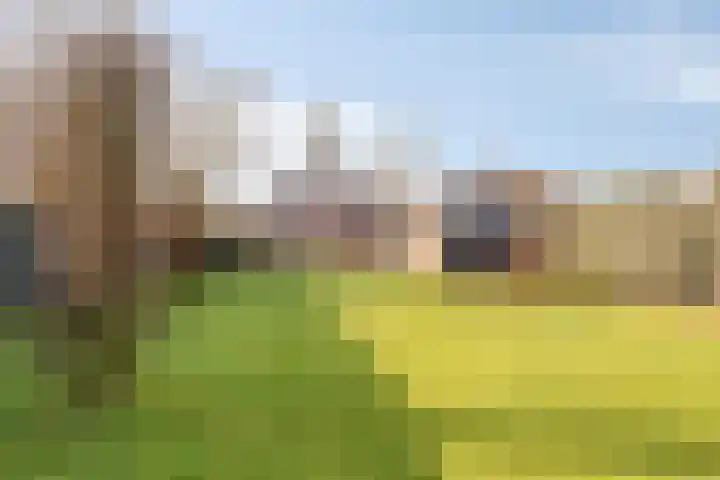 Busserstraat 23 Meijel thumbnail 62