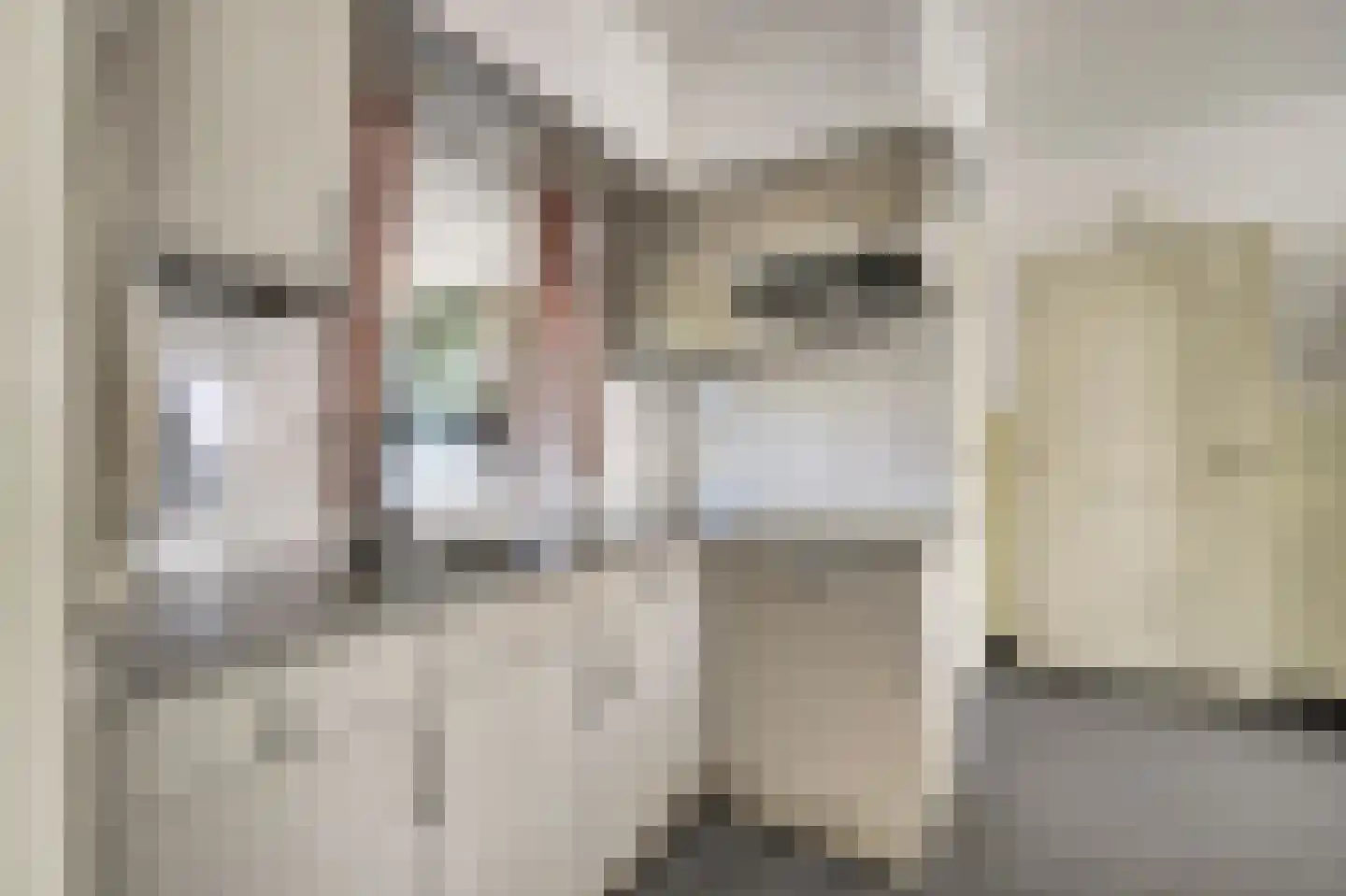 Busserstraat 8 Meijel thumbnail 21