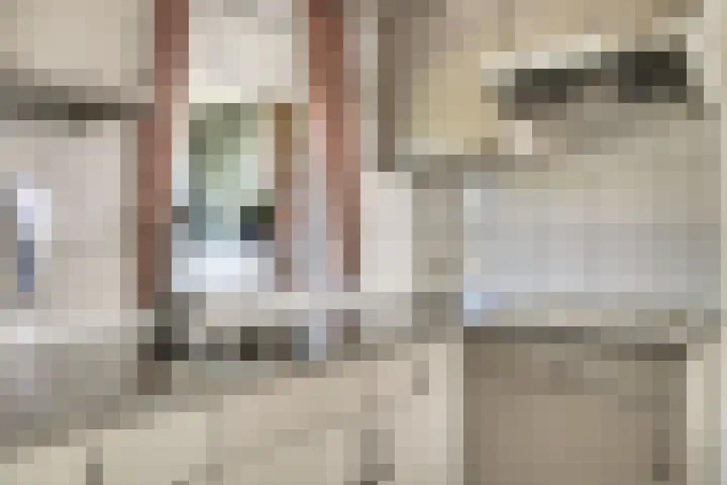 Busserstraat 8 Meijel thumbnail 22