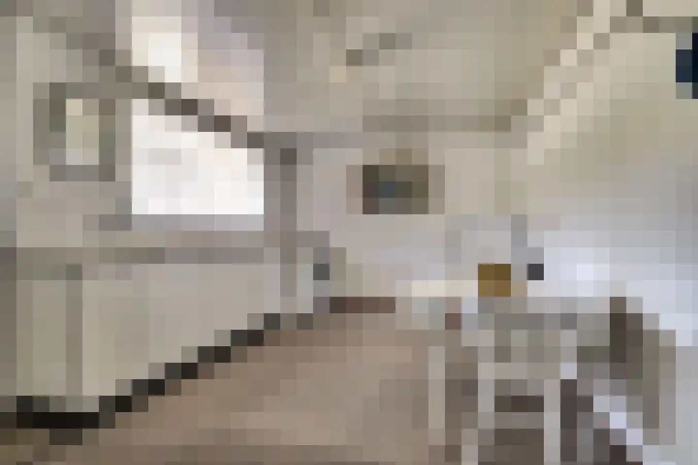 Busserstraat 8 Meijel thumbnail 40
