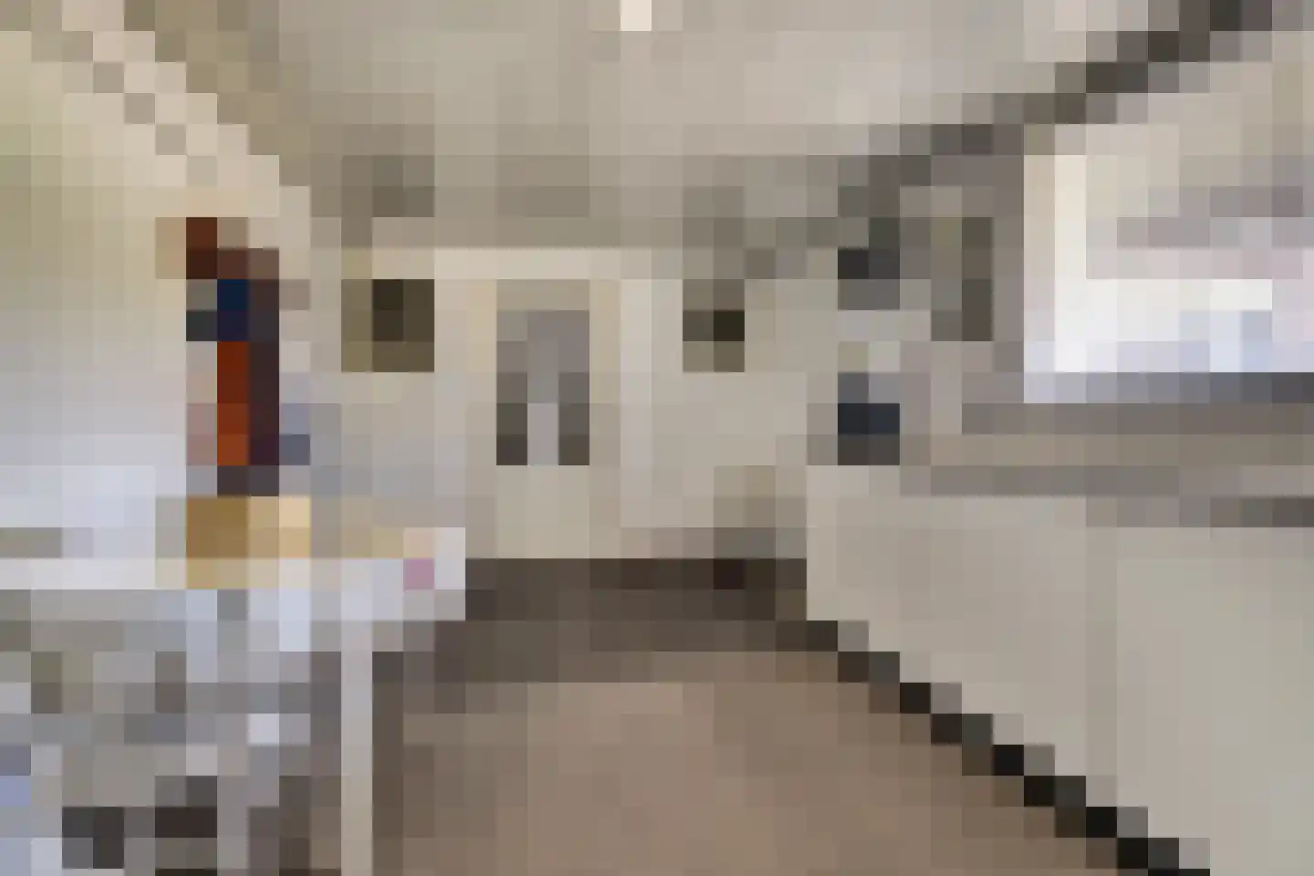 Busserstraat 8 Meijel thumbnail 41