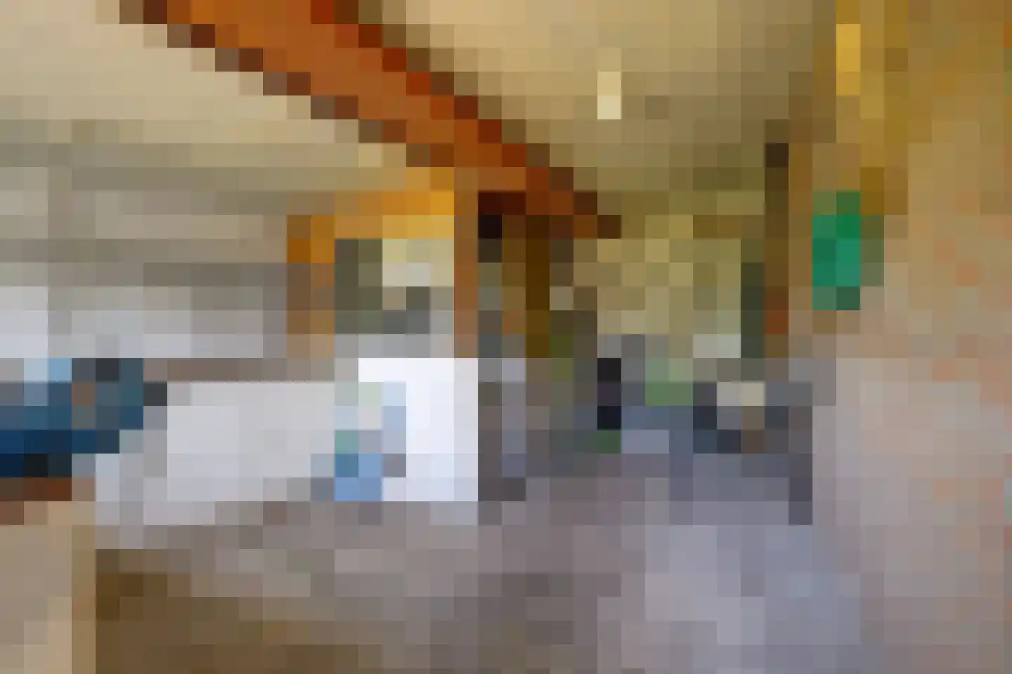 Busserstraat 8 Meijel thumbnail 42