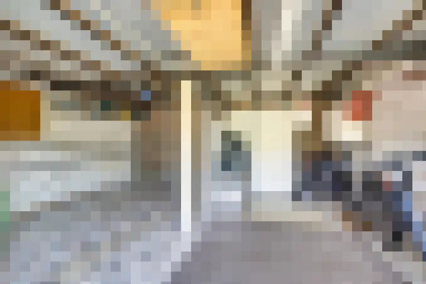 Busserstraat 8 Meijel thumbnail 45
