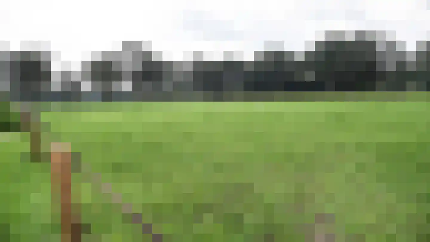Bussinksweg 5 Bathmen thumbnail 102
