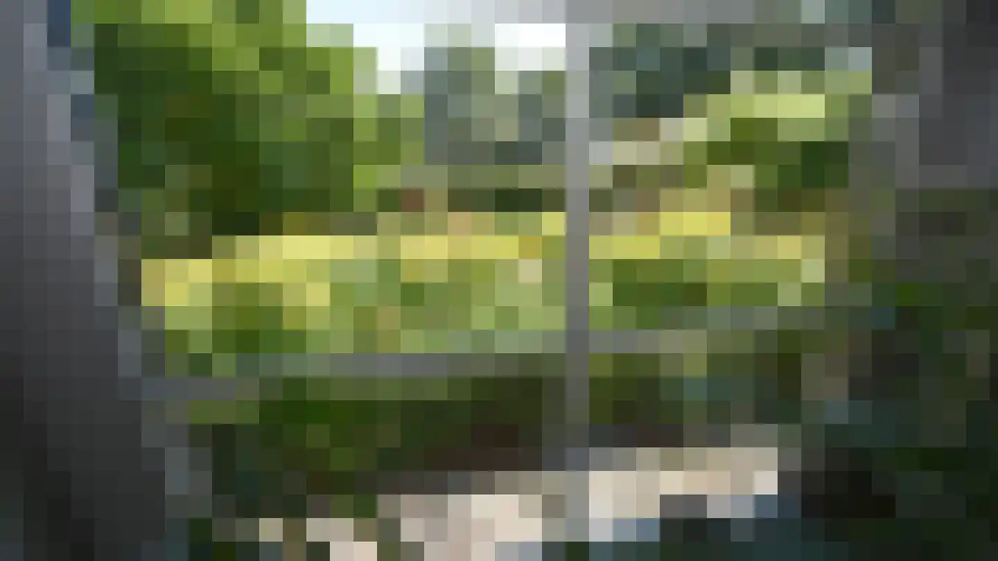 Bussinksweg 5 Bathmen thumbnail 11
