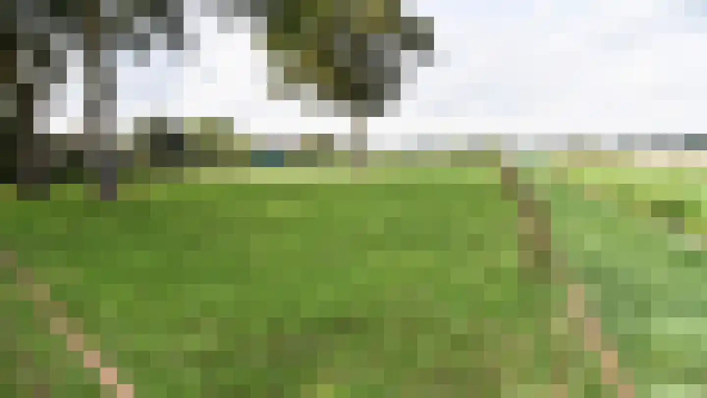 Bussinksweg 5 Bathmen thumbnail 110