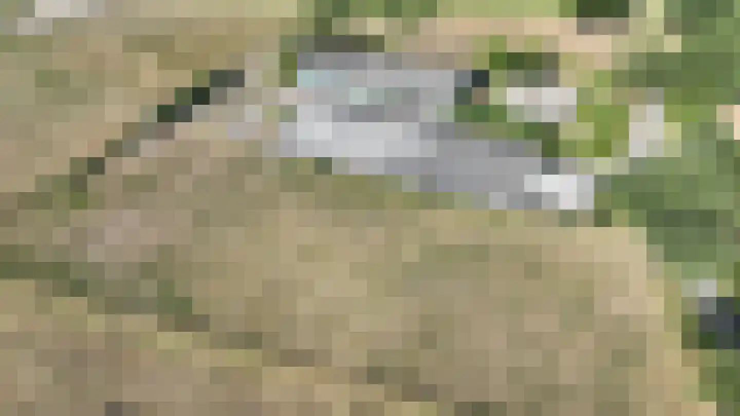 Bussinksweg 5 Bathmen thumbnail 112