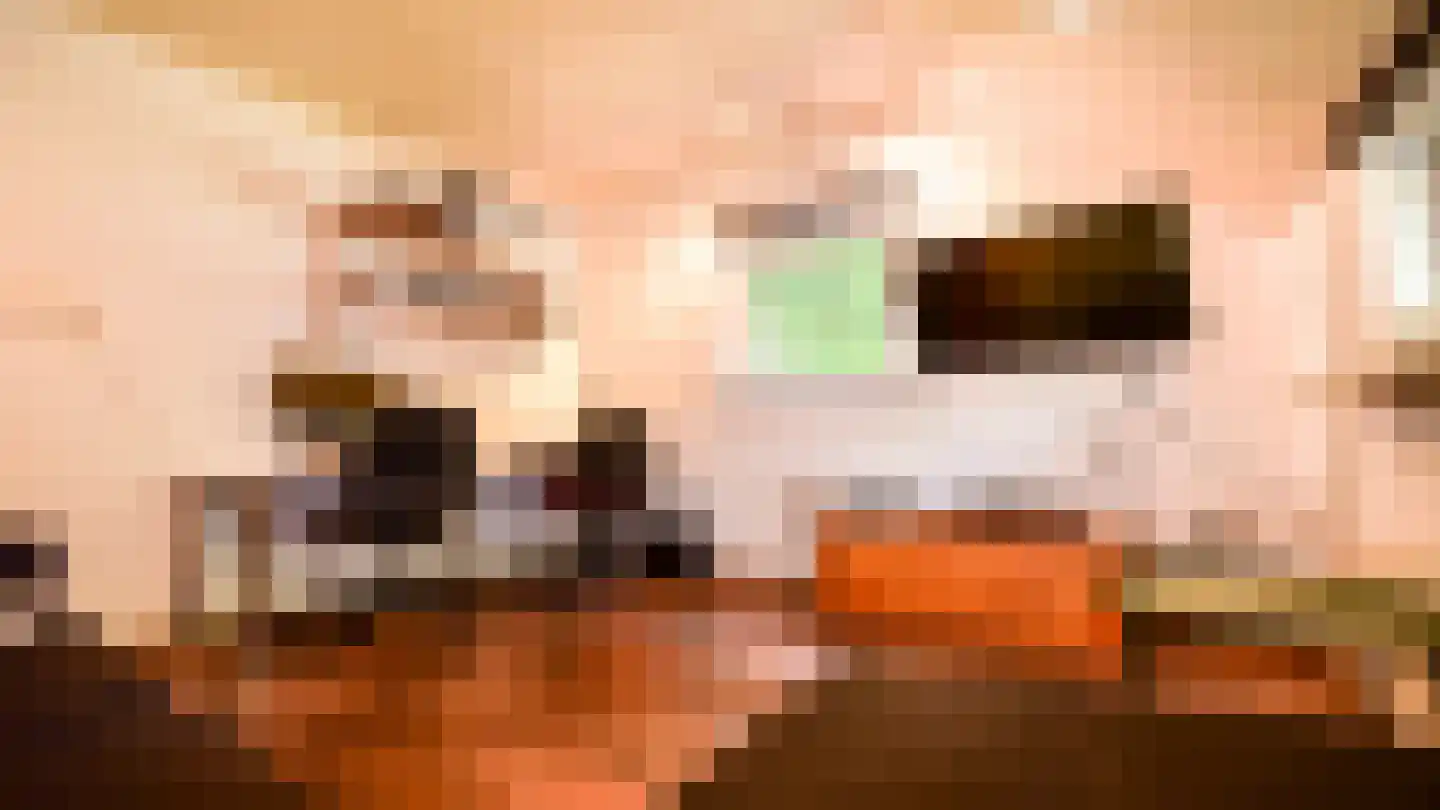 Bussinksweg 5 Bathmen thumbnail 16