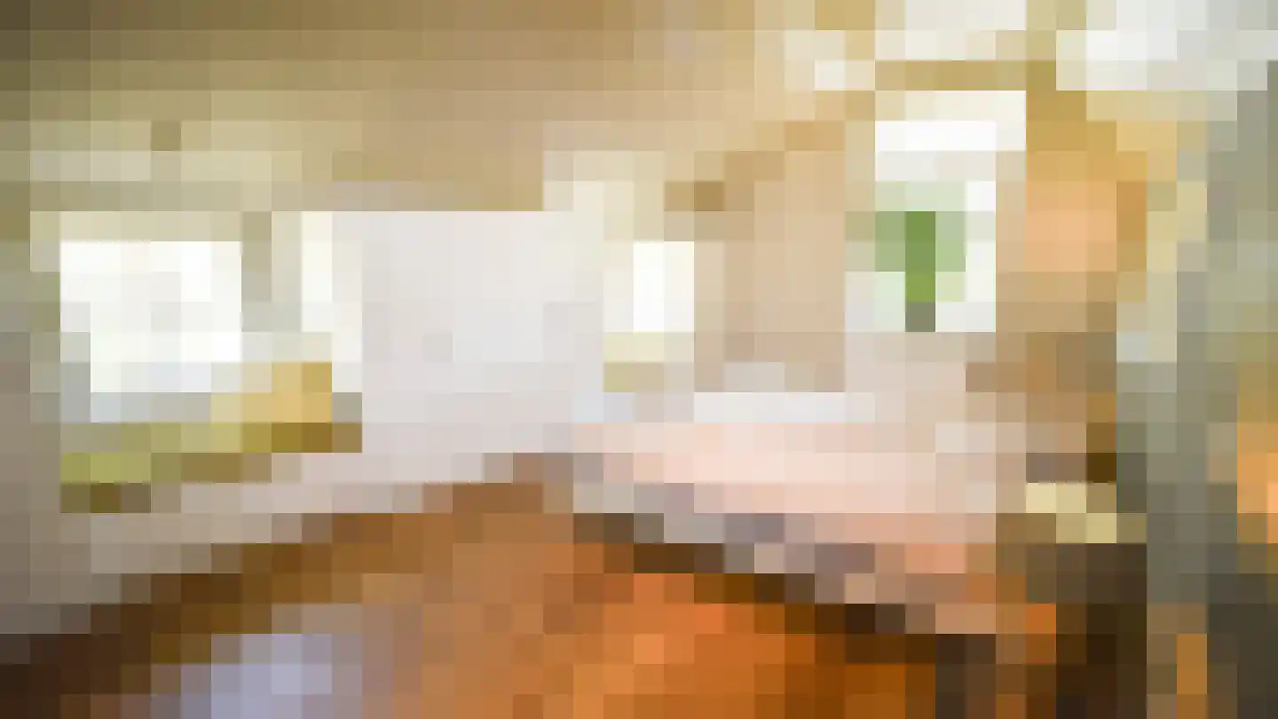Bussinksweg 5 Bathmen thumbnail 17