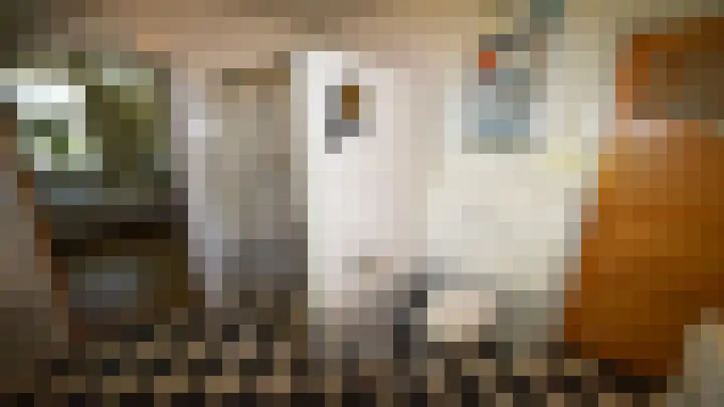 Bussinksweg 5 Bathmen thumbnail 20
