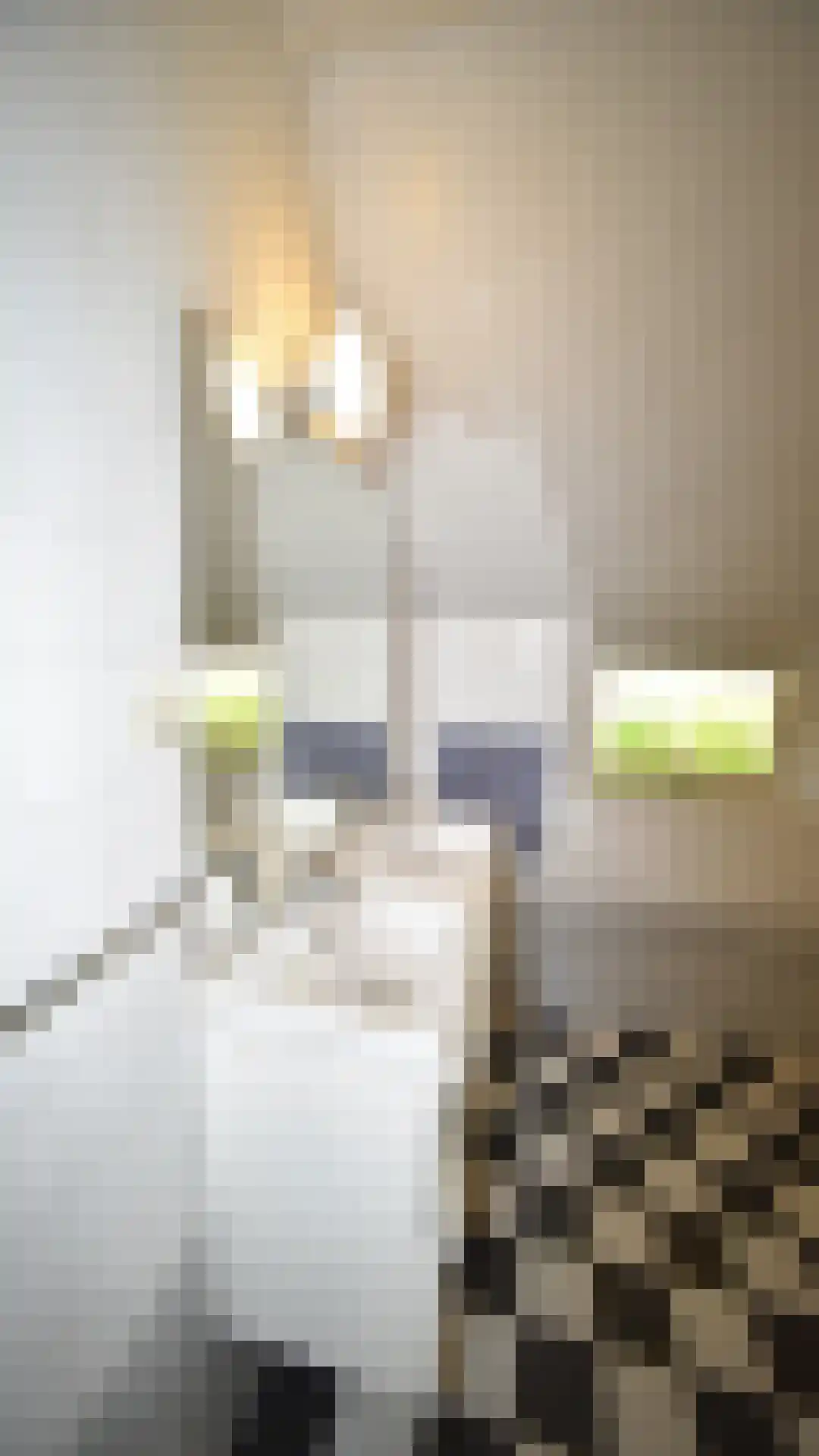 Bussinksweg 5 Bathmen thumbnail 22