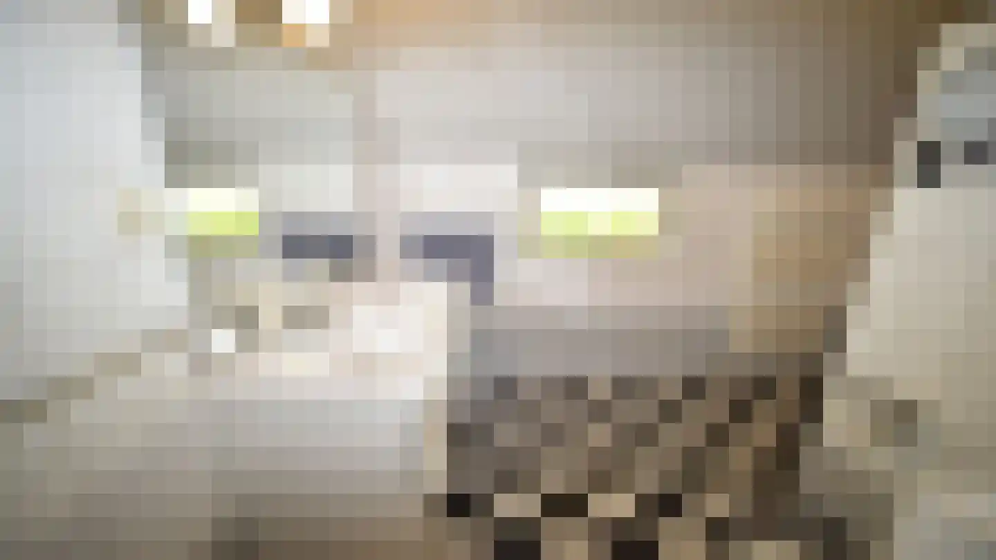 Bussinksweg 5 Bathmen thumbnail 23