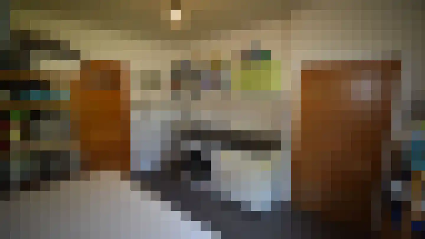 Bussinksweg 5 Bathmen thumbnail 26